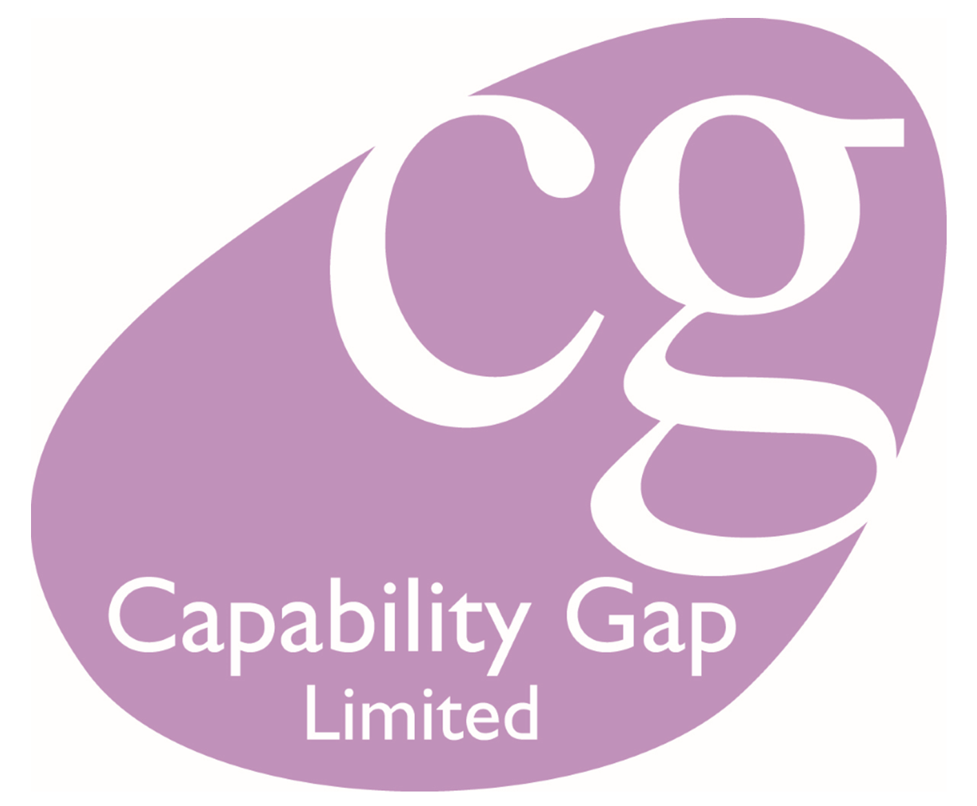 Capability Gap – Management Consultants